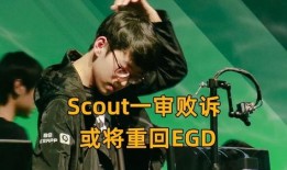 锤哥爆料杨荣荣视频播放,真相与争议并存